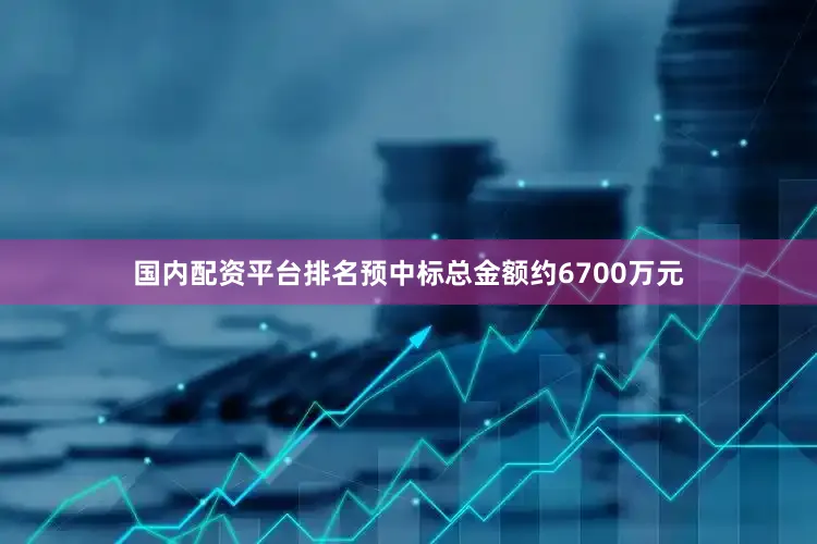 国内配资平台排名预中标总金额约6700万元