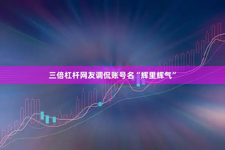 三倍杠杆网友调侃账号名“辉里辉气”