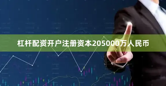 杠杆配资开户注册资本205000万人民币
