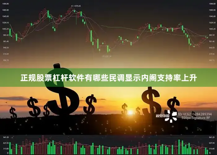 正规股票杠杆软件有哪些民调显示内阁支持率上升