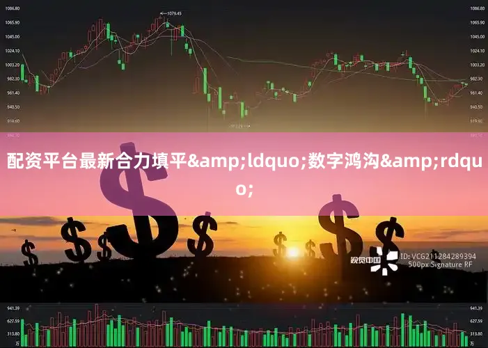 配资平台最新合力填平&ldquo;数字鸿沟&rdquo;